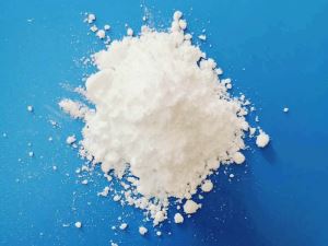 硬汉视频在线官网下载免费版鑭對大老鼠免疫功能的影響